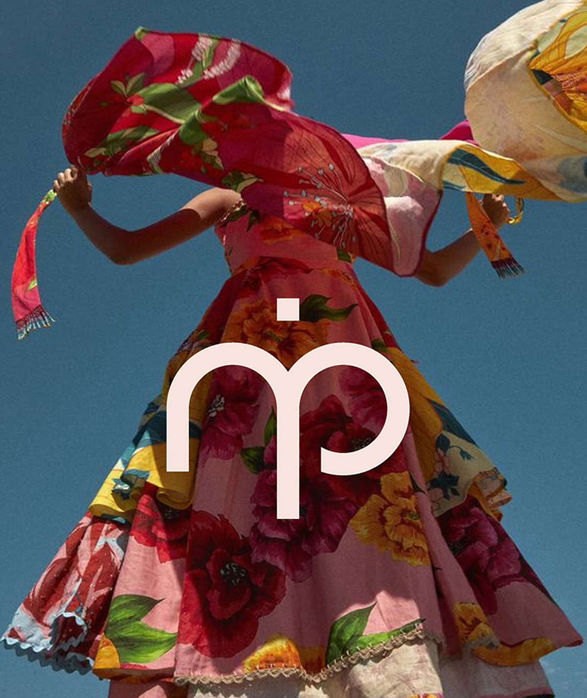 Napari Project Showcase